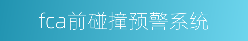 fca前碰撞预警系统的同义词