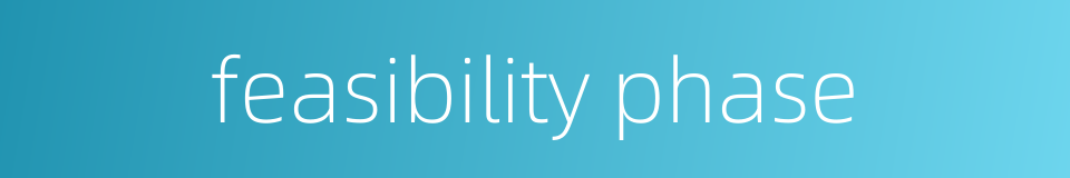 feasibility phase的同义词