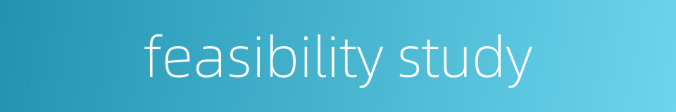 feasibility study的同义词