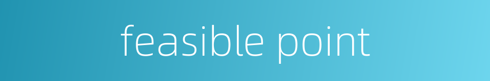 feasible point的同义词