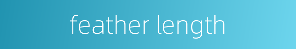feather length的同义词