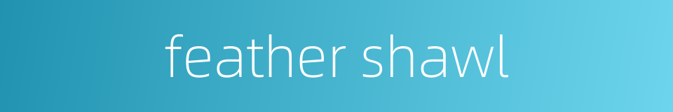 feather shawl的同义词