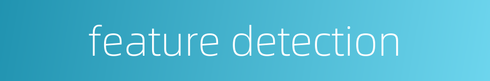 feature detection的同义词