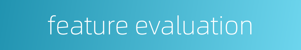 feature evaluation的同义词
