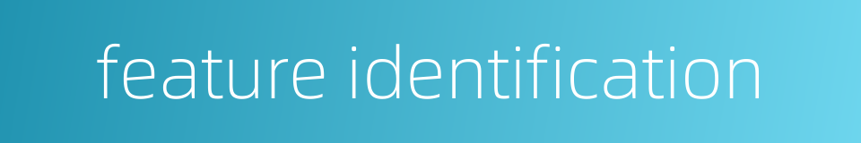 feature identification的同义词