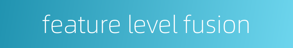 feature level fusion的同义词