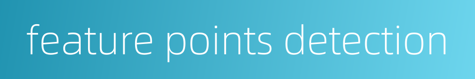 feature points detection的同义词