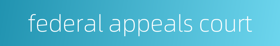 federal appeals court的同义词