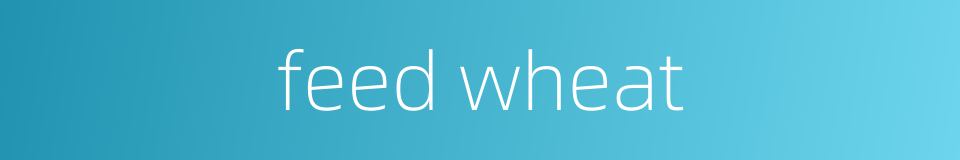 feed wheat的同义词