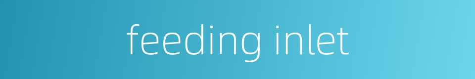 feeding inlet的同义词