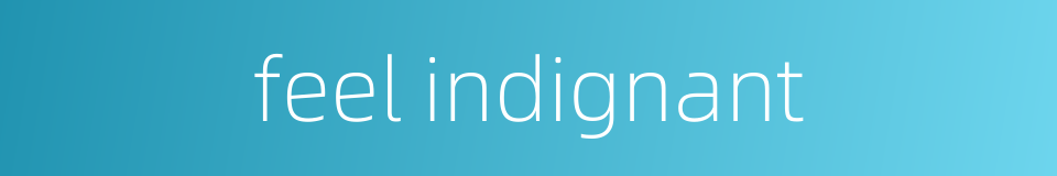 feel indignant的同义词