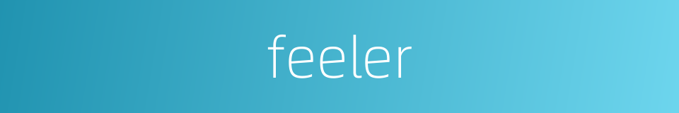 feeler的同义词