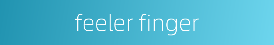 feeler finger的同义词
