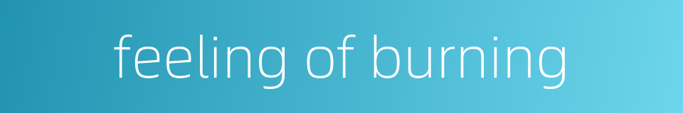 feeling of burning的同义词