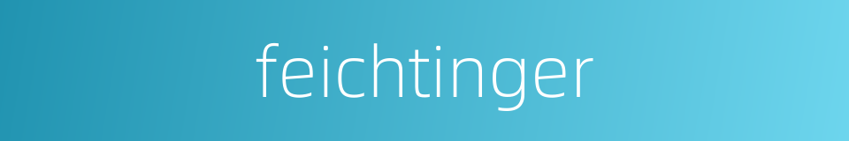 feichtinger的同义词