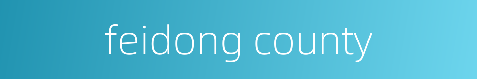 feidong county的同义词
