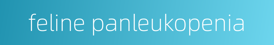 feline panleukopenia的同义词