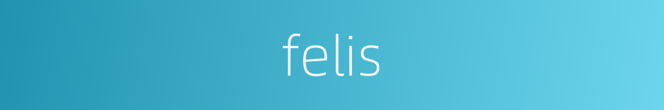 felis的同义词
