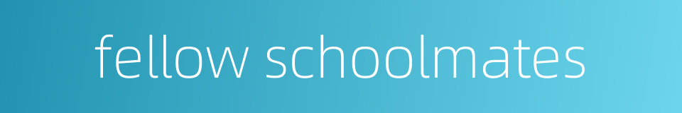 fellow schoolmates的同义词