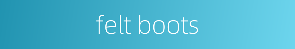 felt boots的同义词