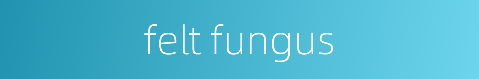 felt fungus的同义词