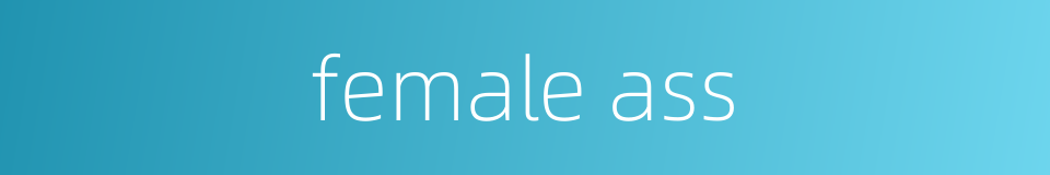 female ass的同义词