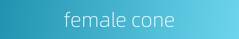 female cone的同义词