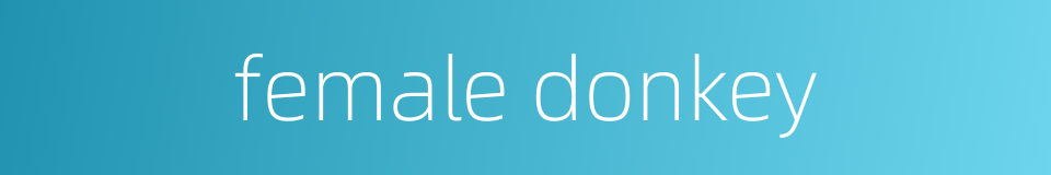 female donkey的同义词