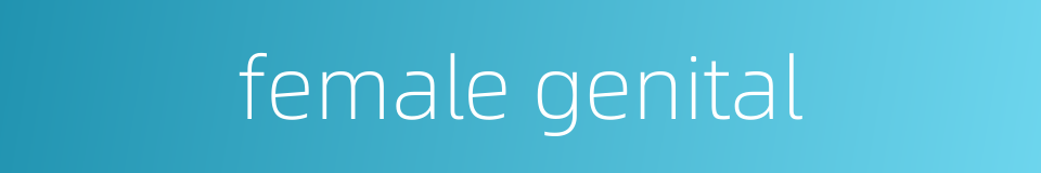 female genital的同义词