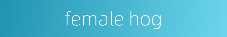 female hog的同义词