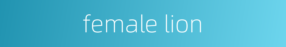female lion的同义词