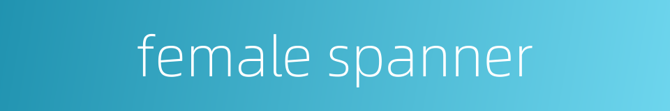 female spanner的同义词
