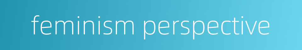 feminism perspective的同义词