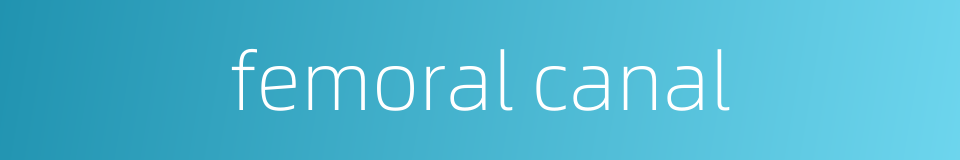 femoral canal的同义词