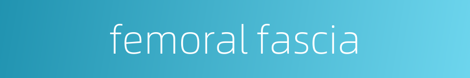 femoral fascia的同义词