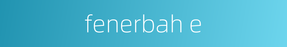 fenerbah e的同义词