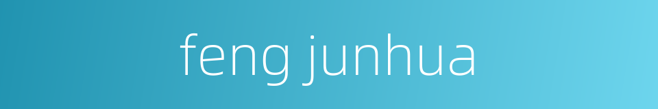 feng junhua的同义词