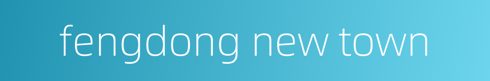 fengdong new town的同义词