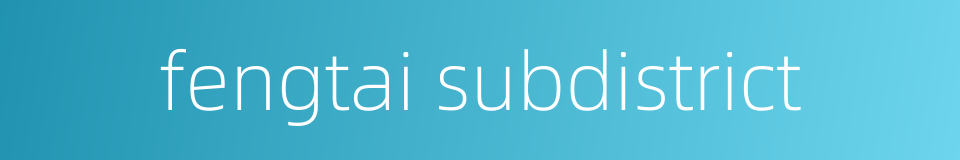 fengtai subdistrict的同义词