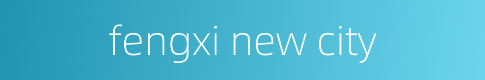 fengxi new city的同义词