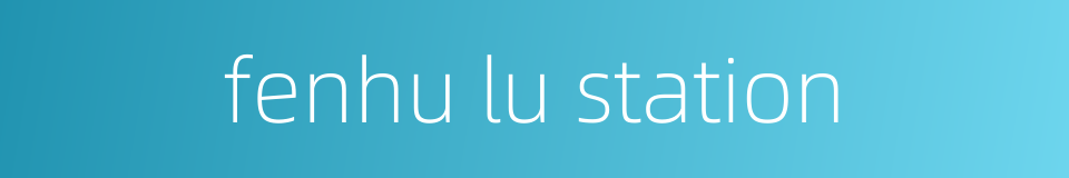 fenhu lu station的同义词