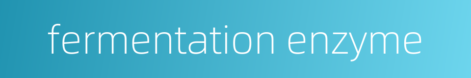 fermentation enzyme的同义词