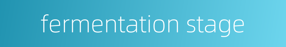 fermentation stage的同义词