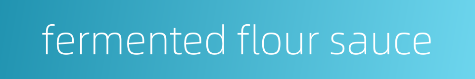 fermented flour sauce的同义词