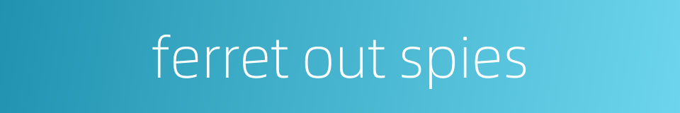 ferret out spies的同义词