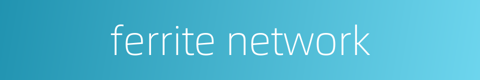 ferrite network的同义词