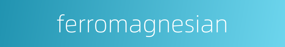 ferromagnesian的同义词
