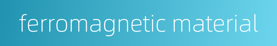 ferromagnetic material的同义词