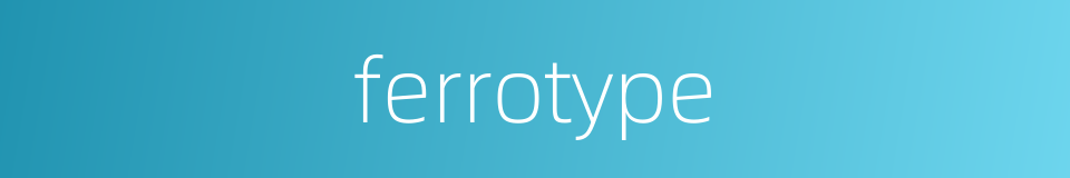ferrotype的同义词