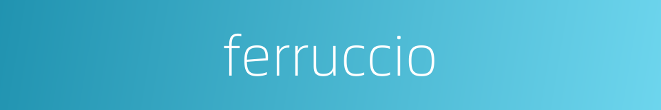 ferruccio的同义词